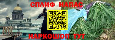 шишки Брянск